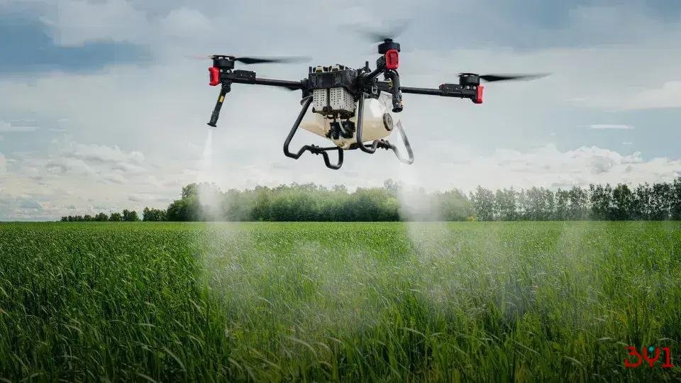 Retrospectiva 2025: Descobertas científicas que mudaram o mundo